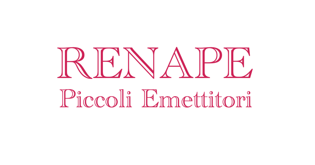 Nel caso dei Piccoli emettitori il rapporto tra ETS e PMI è gestito dal RENAPE