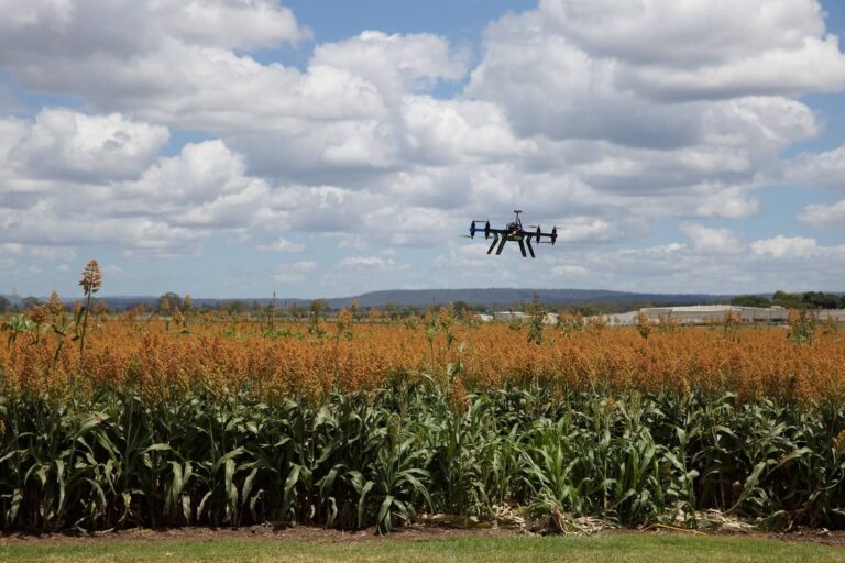 Tre tecnologie per rivoluzionare il settore agricolo