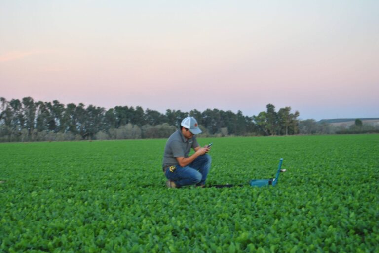 Potenziare l'agronomia predittiva nell'irrigazione: nuovo progetto di WiseConn e SISTAGRO