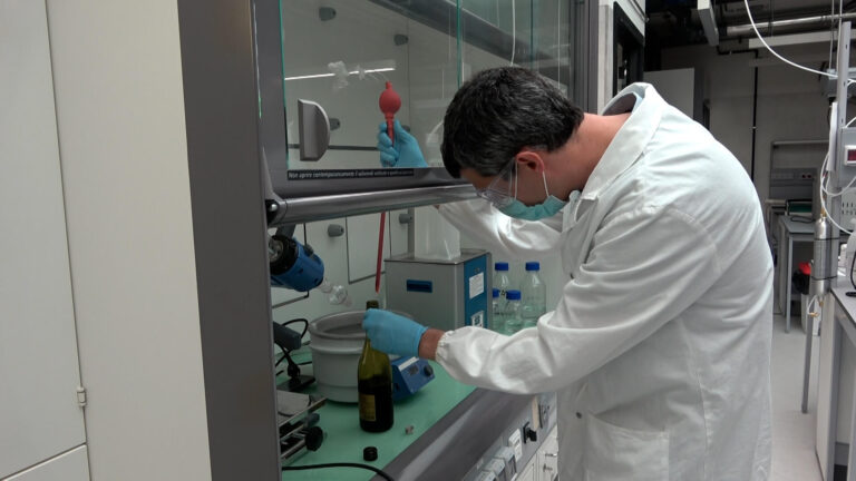 Vitivinicoltura: biochimica e data science per una carta d'identità dei vini 2.0