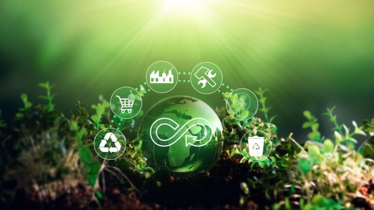 Cereal Docks, il progetto 3 A+ per combinare sicurezza alimentare ed energetica