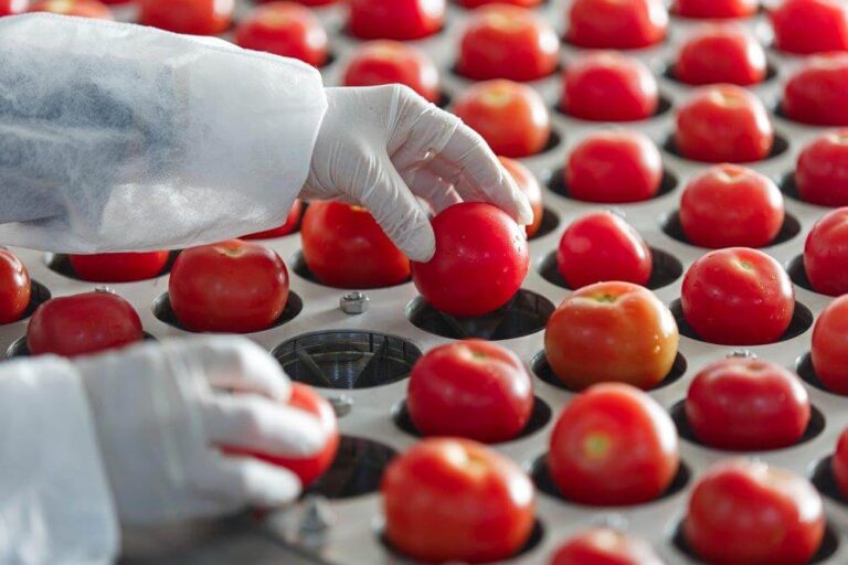 Sicurezza alimentare: da 3M nuovi test per la rilevazione di microrganismi patogeni