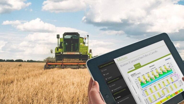 Il digitale migliora la sostenibilità della filiera agroalimentare