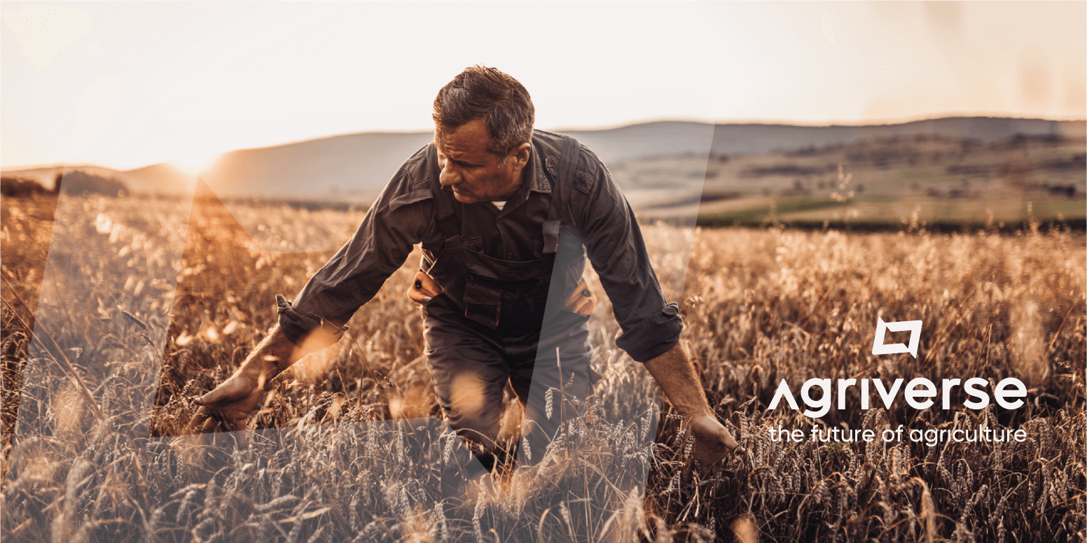 agtiverse-immagine-blogpost