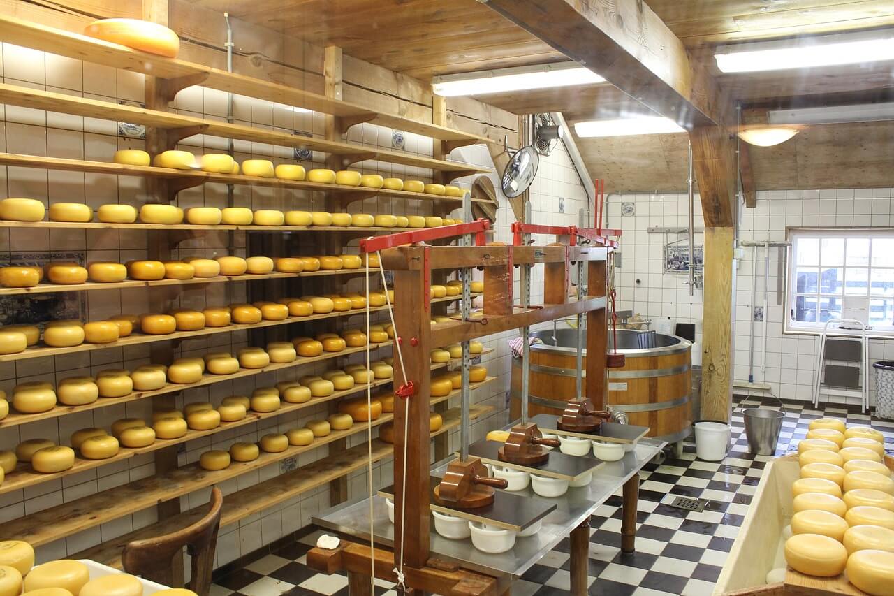 cheese-385863_1280
