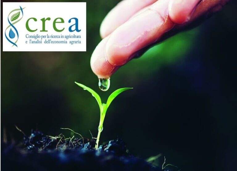 Il ruolo della ricerca nell'agricoltura sostenibile