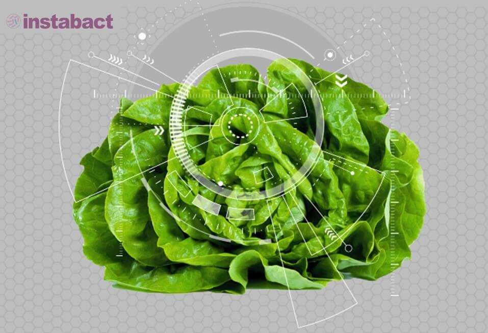 Instabact