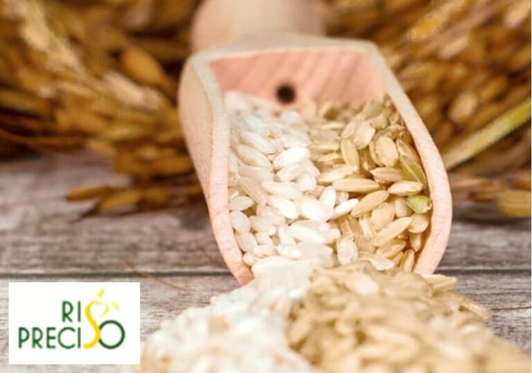 Agricoltura 4.0: il precision farming per salvaguardare l'ambiente e aumentare la produttività