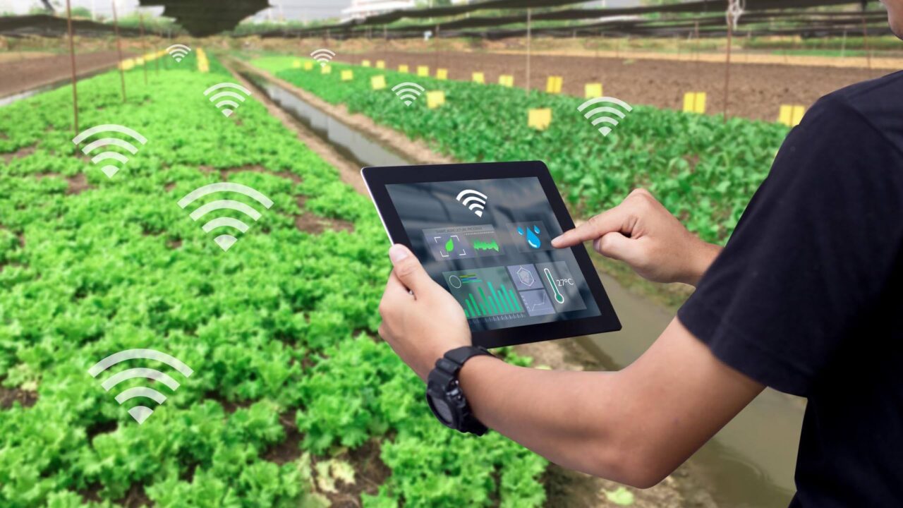 Agricoltura di precisione e sostenibilità: il ruolo dell'avanzamento tecnologico