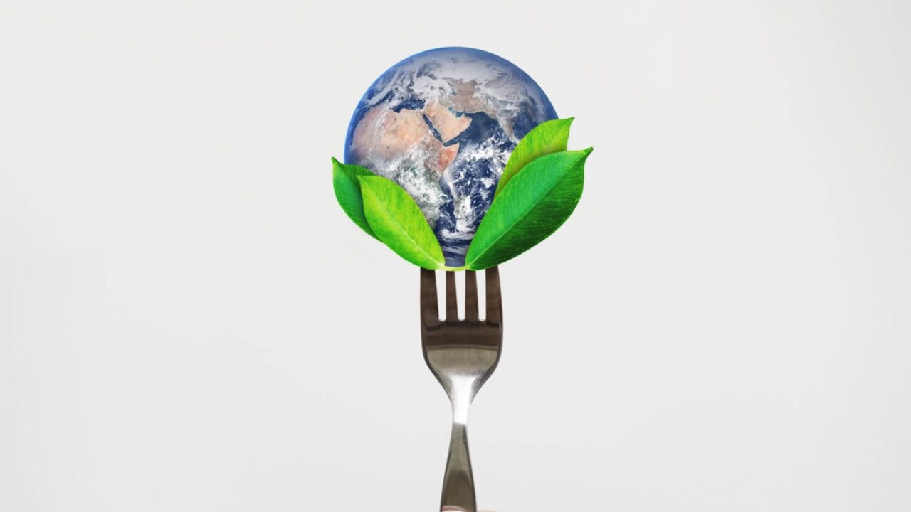 Good Food Makers 2025: al via la call for innovation per la food value chain Barilla