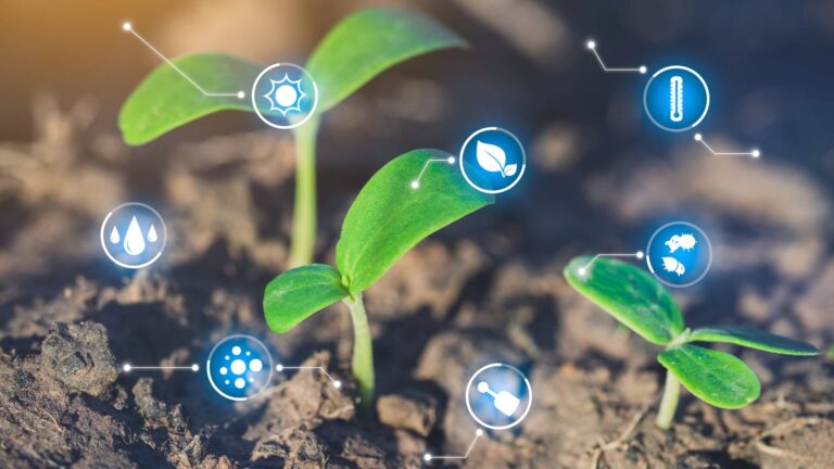 CREA sulla salute del suolo: ricerca e innovazione per la sostenibilità