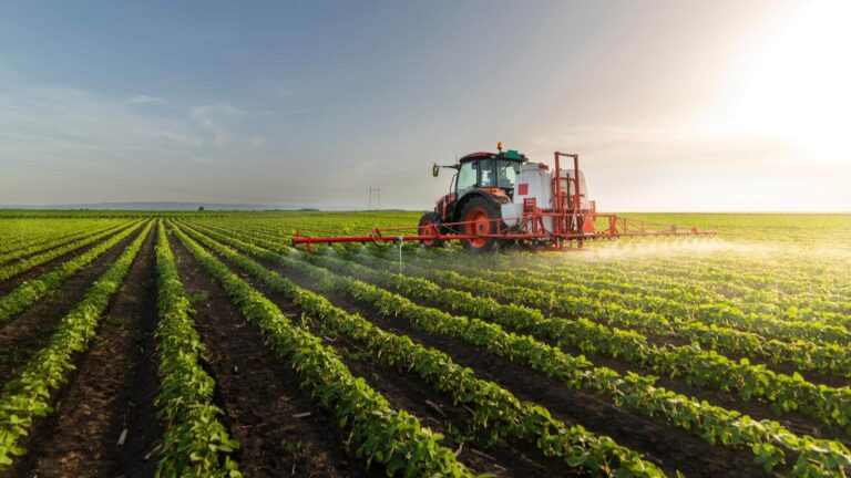 Ismea: pesa sull'agroalimentare italiano il mutato contesto geopolitico