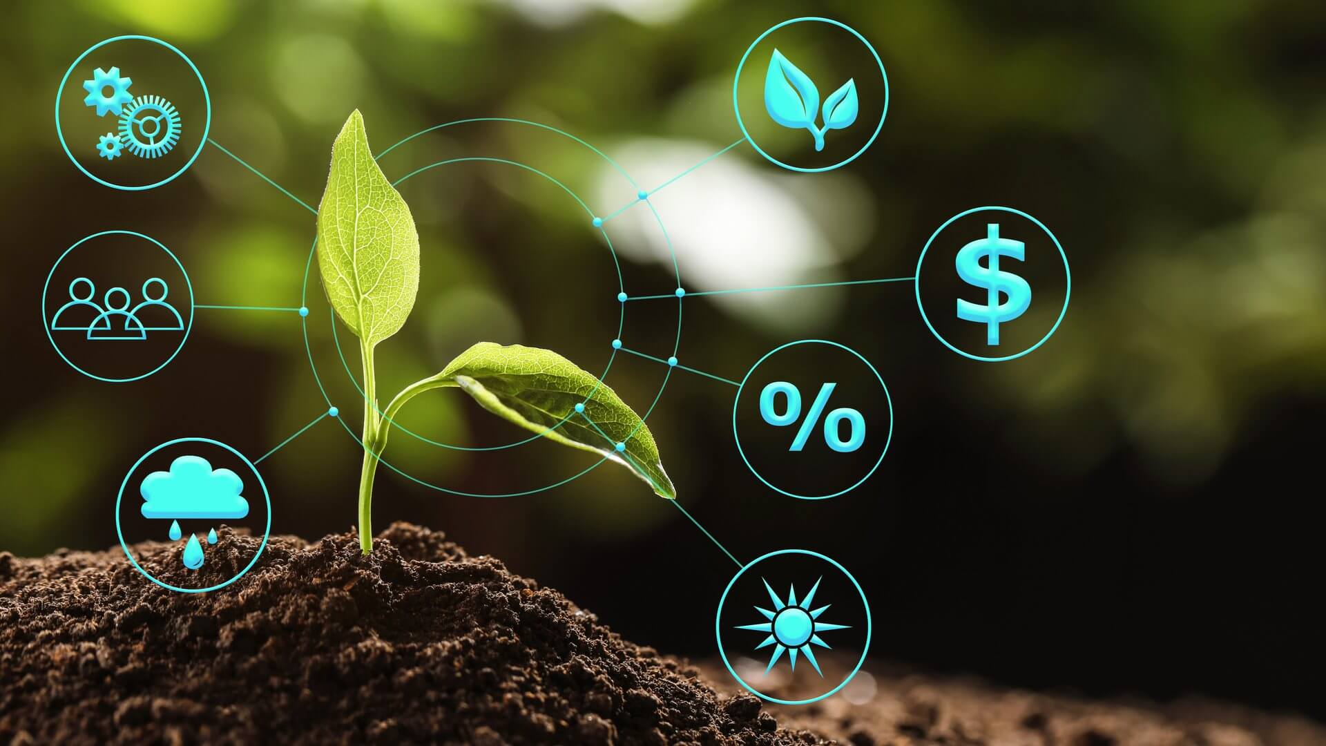 Agroalimentare globale