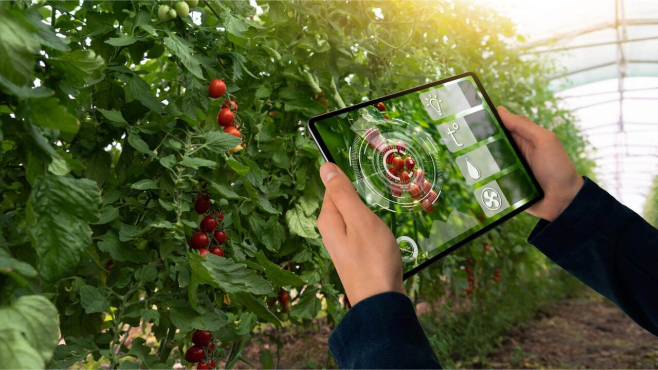 agrifood sostenibile