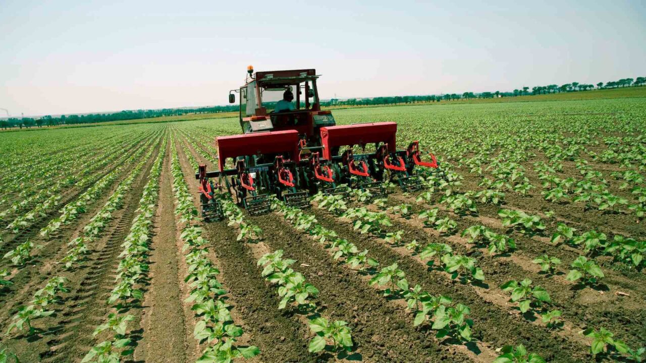 Agricoltura lombarda: un nuovo volto con Finlombarda e SACE