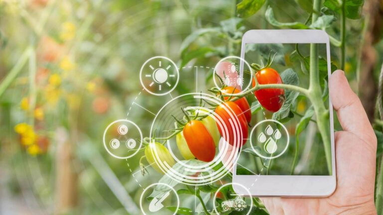 Leggi l'articolo Food e B Corp: un fenomeno in crescita