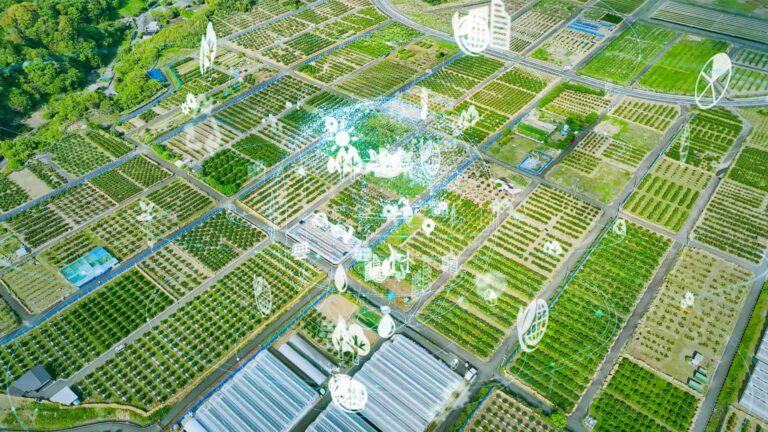 Digitalizzare un terzo della superficie agricola nazionale: l'obiettivo di Hubfarm