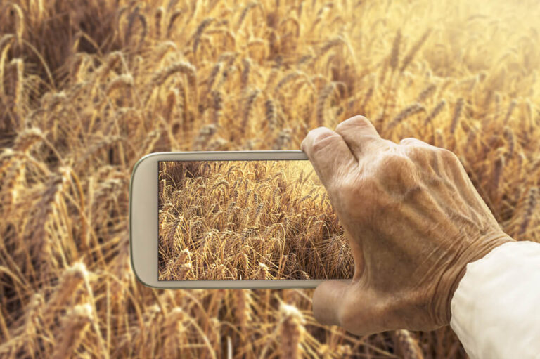 Agrinatura: innovazione e sostenibilità nel settore agricolo