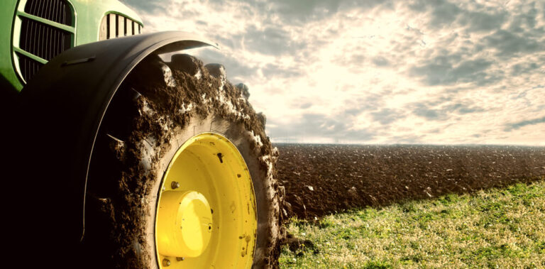 Gestione del rischio: l’agricoltura chiede polizze assicurative più semplici