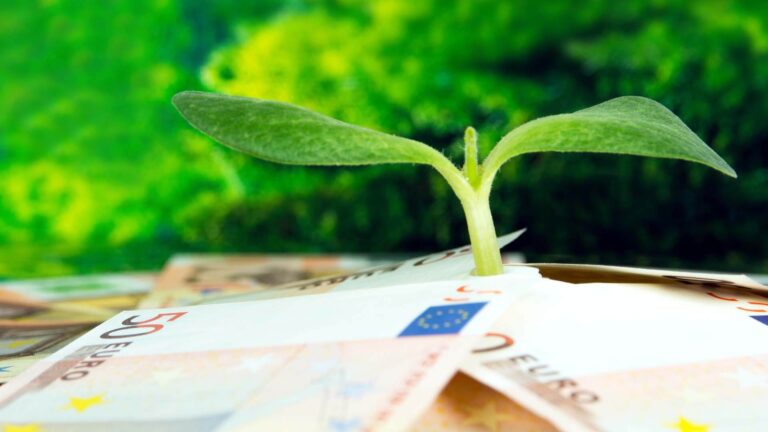 Dal Masaf 76 milioni di euro per supportare l'agroalimentare italiano